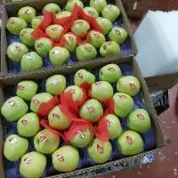 Apples