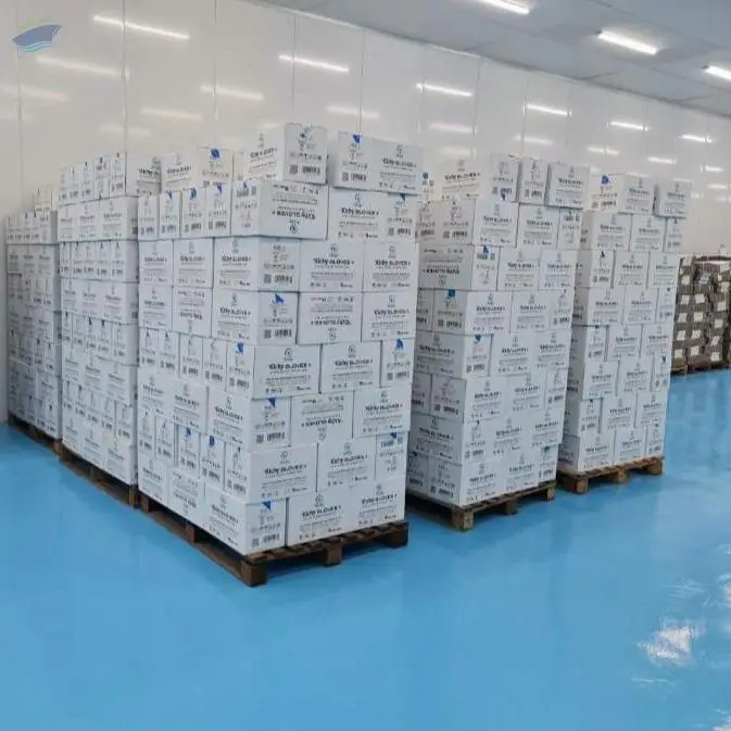 Kichy Nitrile Gloves Vietnam