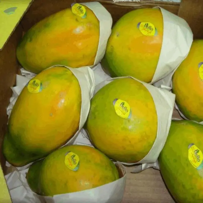 Papaya