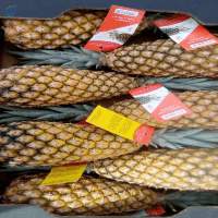Pineapples