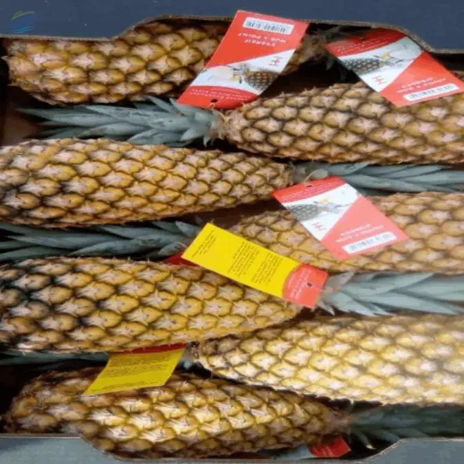 Pineapples