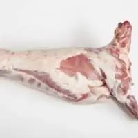 Meat