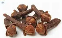 Cloves