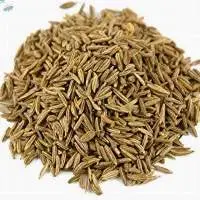 Cumin Seeds