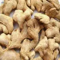 Dry Ginger