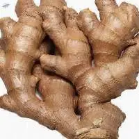Fresh Ginger