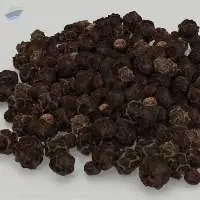Pepper