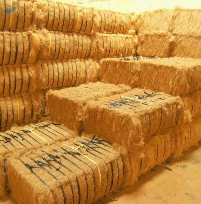 Coconut Fiber / Coir Fiber