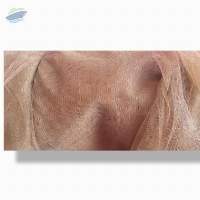 50 Meters(q) Tiger Mosquito Net