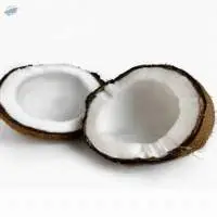 Fresh Coconut/semi Husked