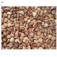 The Betel Nut Split