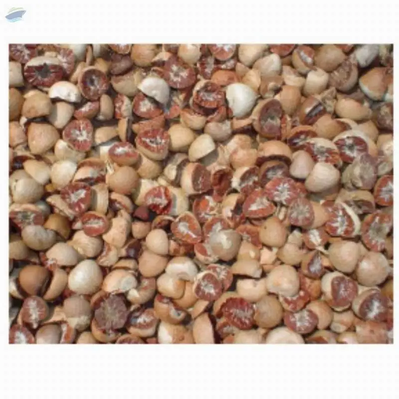 The Betel Nut Split
