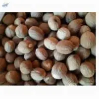 Nutmeg