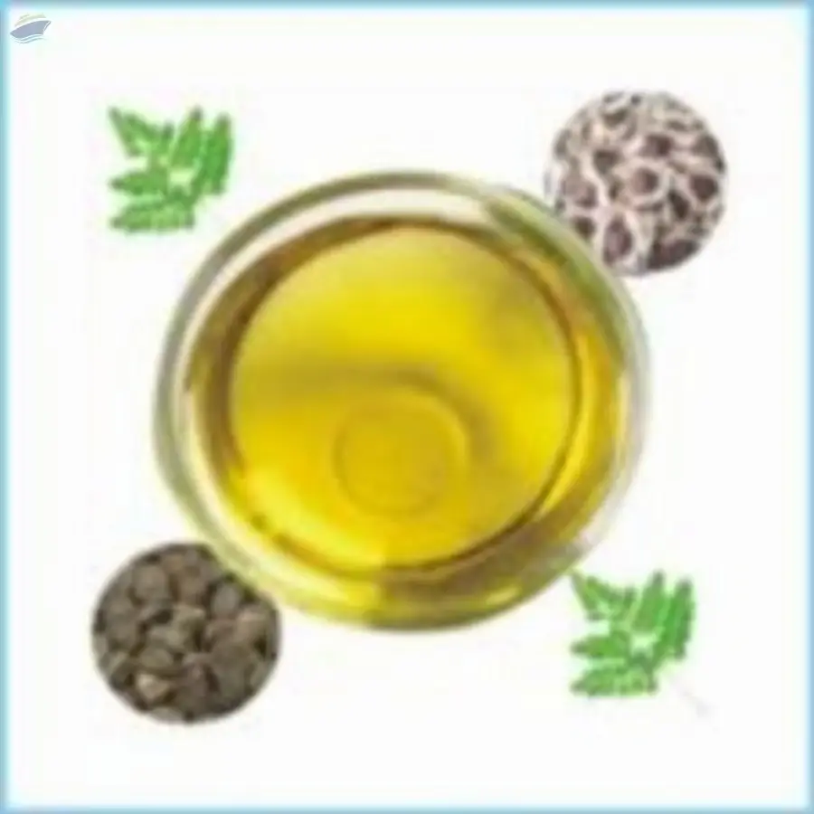 Moringa Oil, Moringa Oleifera