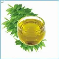Neem Oil, Azadirachta Indica