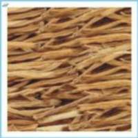 Shatavari Root