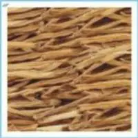 Shatavari Root