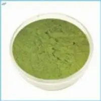 Stevia Powder
