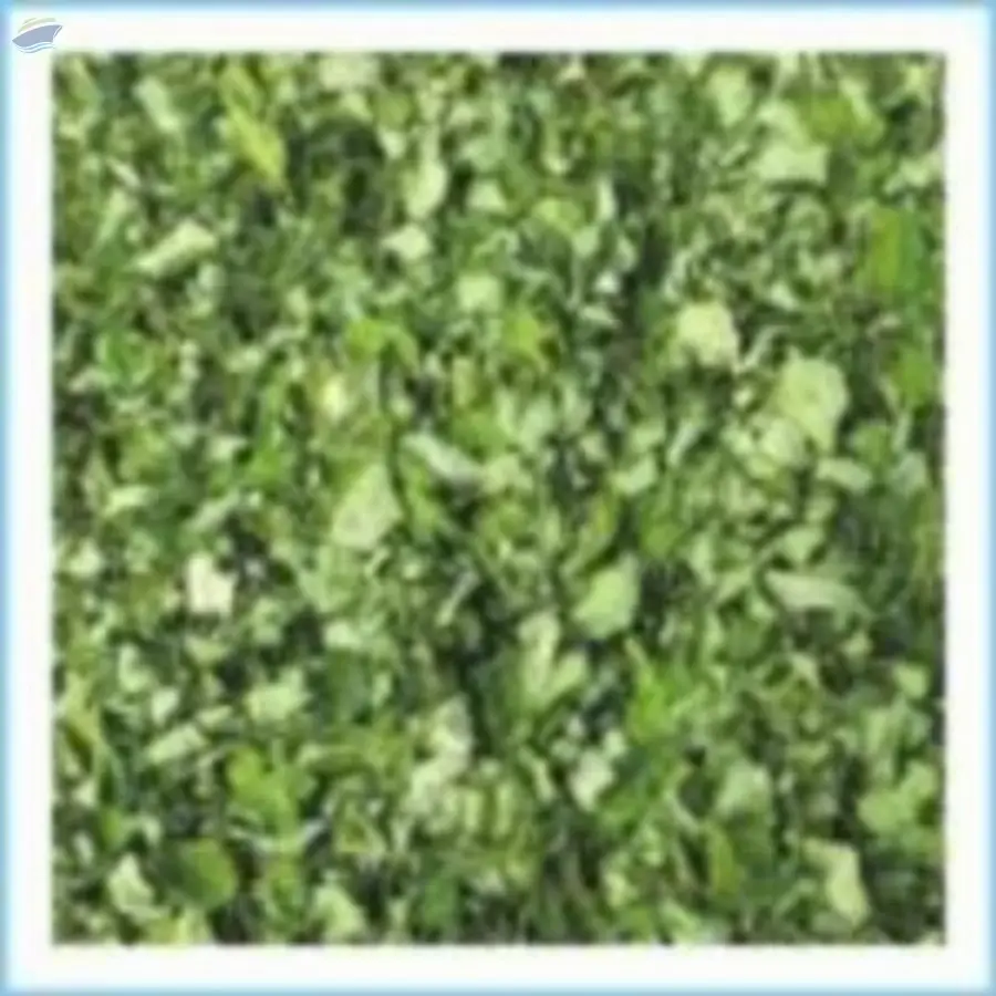 Moringa Dry Leaves