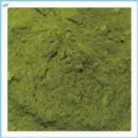 Moringa Powder
