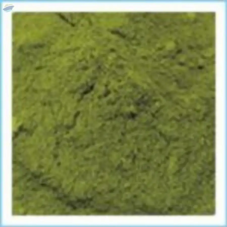 Moringa Powder