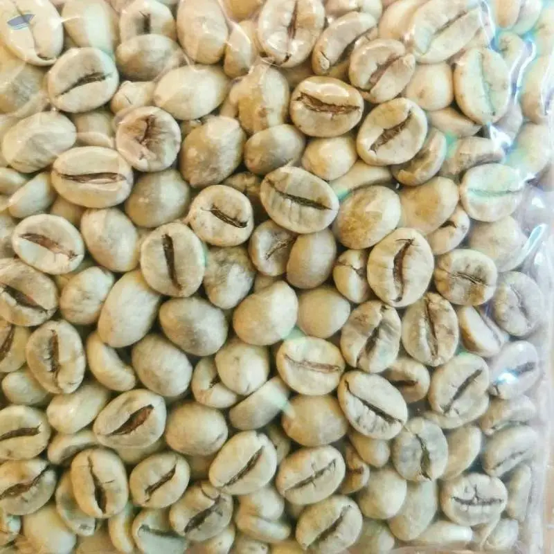 Robusta Peaberry Grade 1 SCAA Specialty