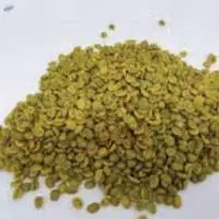 Arabica Kerinci Semi-washed