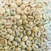 Robusta Banyuwangi Full-Washed