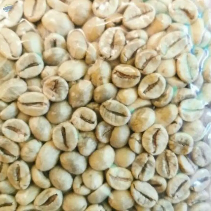 Robusta Banyuwangi Full-Washed