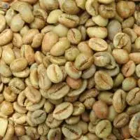 Robusta Gayo Pulp Dry Grade 1