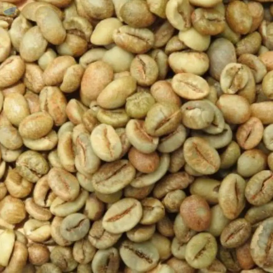 Robusta Gayo Pulp Dry Grade 1