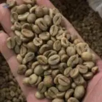 Robusta Lampung Semi-Washed
