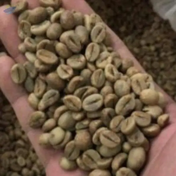 Robusta Lampung Semi-Washed