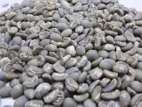 Arabica Mandheling