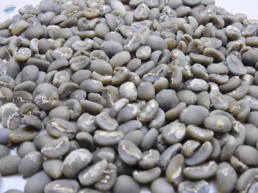 Arabica Mandheling