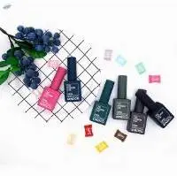 Pigment Dispersion Nail Gel Polish