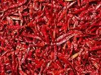 Red Chilli