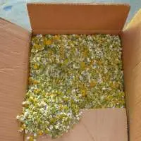 Organic Chamomile Flowers