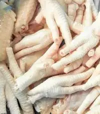 Premium Fresh Chicken Paws for Bulk Export