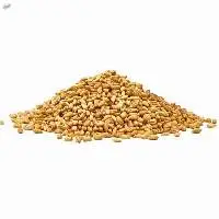 Premium Wheat Grains for Bulk Export Supply