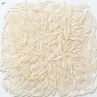 Premium Basmati Rice Grains for Export Supply