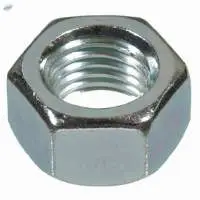 Hex Head Nut