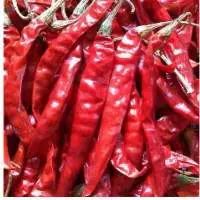 Red Chilli