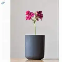 Flower Pot