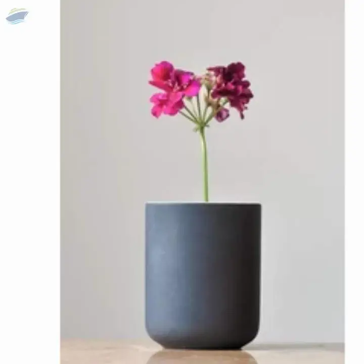 Flower Pot