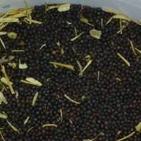 Crude Rapeseed Oil