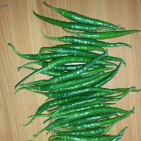 G4 Green Chilies