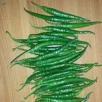 G4 Green Chilies