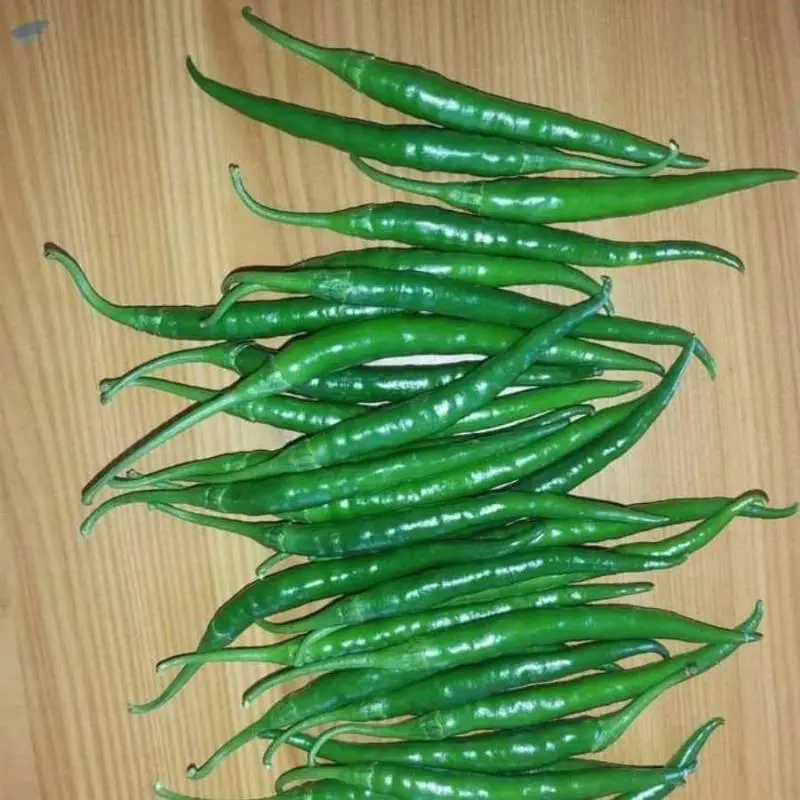 G4 Green Chilies