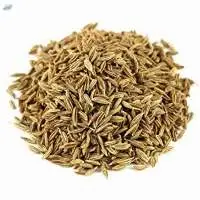 Cumin Seeds